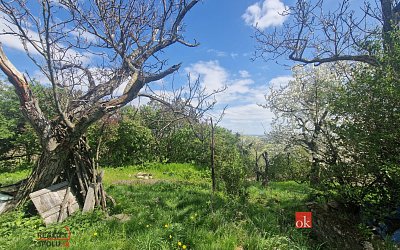 druhá fotografie nemovitosti